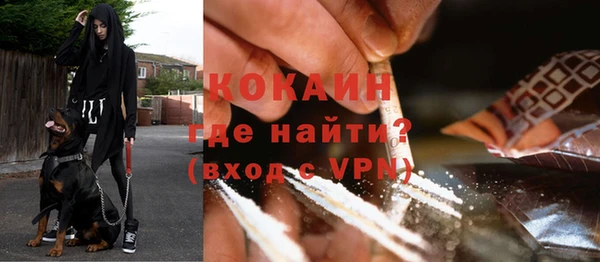 мет Алексин