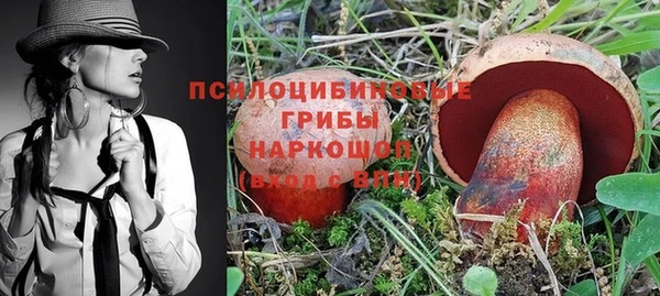 мет Алексин