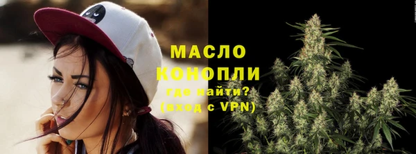 мет Алексин