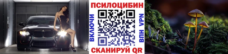 Галлюциногенные грибы Psilocybine cubensis  Купить закладки  Буй 